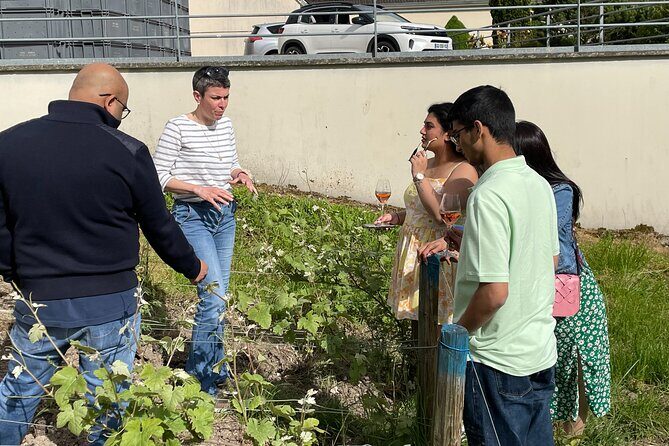 Champagne Munoz Bruneau : Half Day Visit and Tasting - The Sum Up