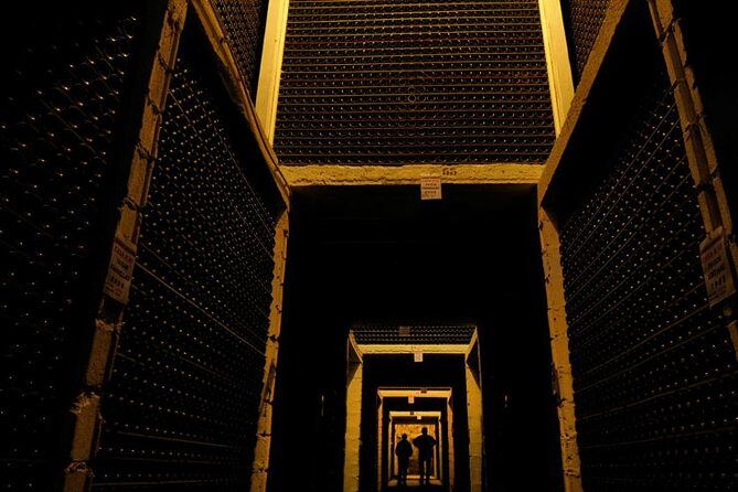 Champagne Private VIP Wine Day Trip with Michelin Lunch - An In-Depth Look at the Champagne Private VIP Wine Day Trip