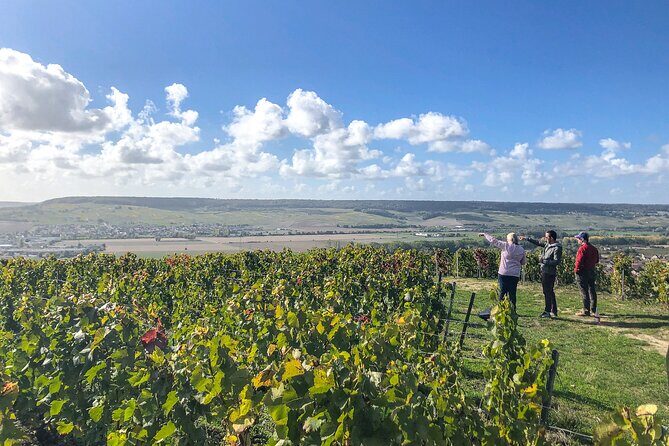 Champagne Private VIP Wine Day Trip with Michelin Lunch - Final Thoughts