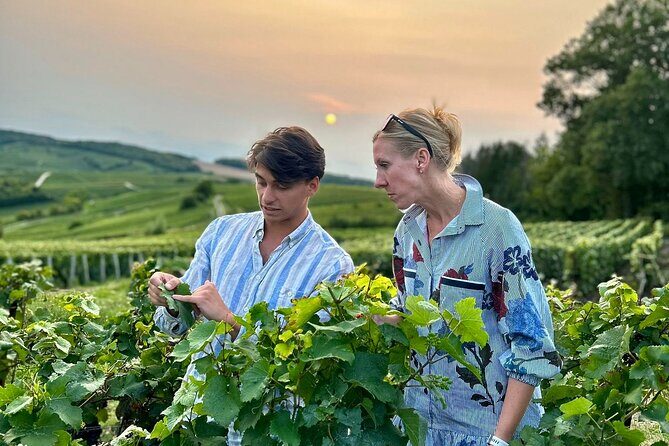 Champagne Private Wine Day Trip with Lunch and Wine Tastings - Discover the Charm of a Private Champagne Day Trip from Paris