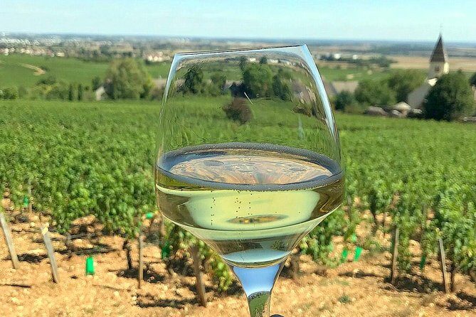 Champagne Private Wine Day Trip with Lunch and Wine Tastings - FAQ
