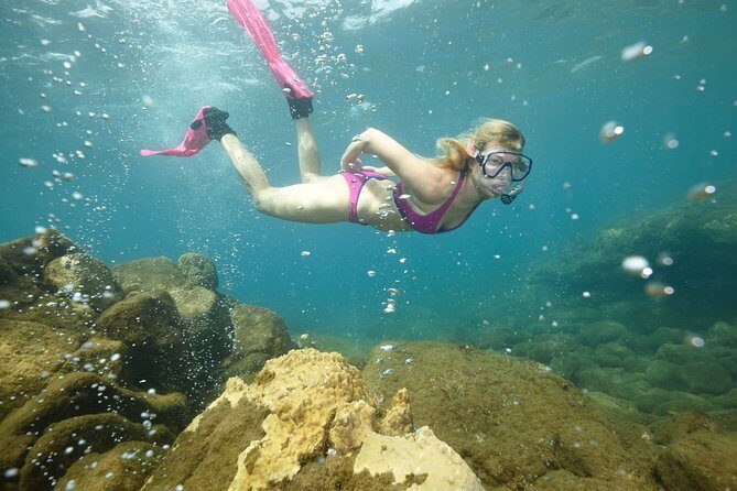 Champagne Reef, Bubble Beach and Scotts Head Snorkeling tour by boat in Dominica - Key Points