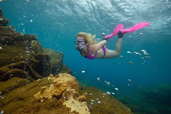 Champagne Reef Snorkeling Tour at volcanic hot Bubbles Dominica - The Sum Up