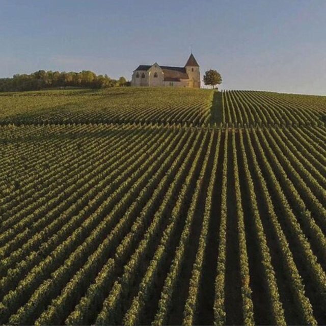 Champagne Region from Paris: Reims and Champagne Tasting - Exploring the Champagne Region from Paris: A Detailed Review