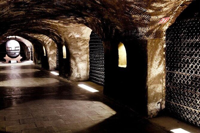 Champagne - Reims: Private tour from Paris by minivan - Exploring Reims and Champagne in Depth