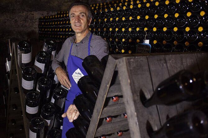 Champagne - Reims: Private tour from Paris by minivan - Final Thoughts: Is This Tour Right for You?