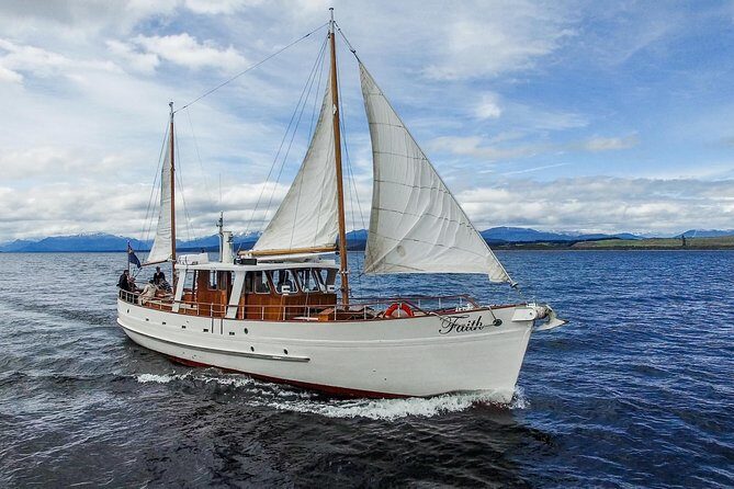 Champagne Sightseeing Cruise on Lake Te Anau - A Detailed Look at the Champagne Sightseeing Cruise on Lake Te Anau