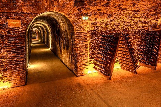 Champagne Small-Group Day Trip with Lunch and Tastings from Paris - Who Will Love This Tour?