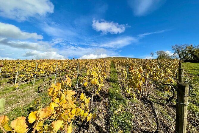 Champagne Small-Group Tour with Tastings and Lunch from Epernay - Key Points