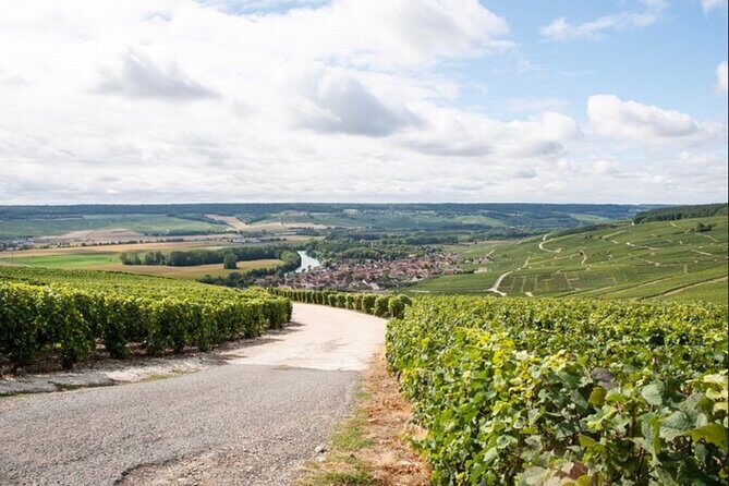 Champagne Small-Group Tour with Tastings and Lunch from Epernay - Who Will Love This Tour?