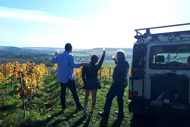 Champagne tasting, panoramic walk in the vineyards - Overview
