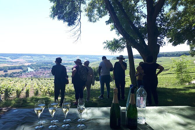 Champagne tasting, panoramic walk in the vineyards - Key Points