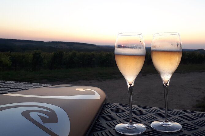 Champagne tasting, panoramic walk in the vineyards - The Return & Additional Details