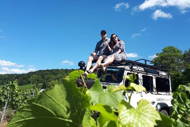 Champagne tasting, panoramic walk in the vineyards - Why This Tour Delivers Value
