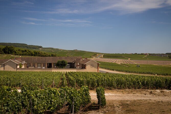 Champagne Tasting Tour Day Trip From Paris - Final Thoughts