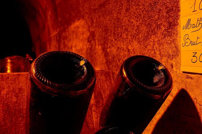 Champagne tour - Private Day trip from Paris - An In-Depth Look at the Champagne Private Day Trip