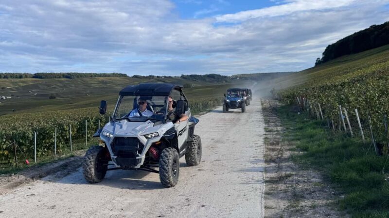Champagne vineyards: 2-hour guided tour of the vineyards in a Buggy - The Sum Up