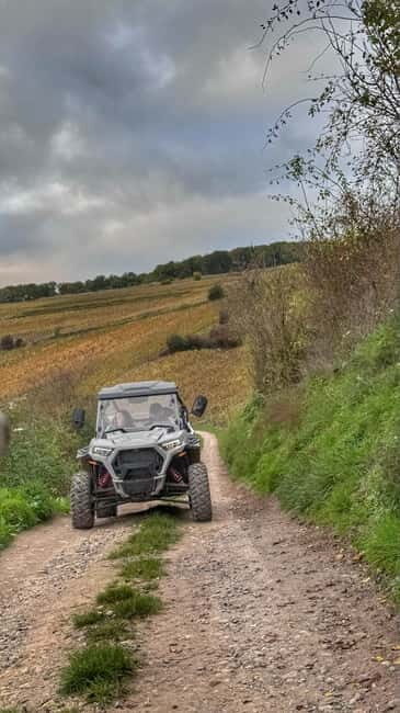 Champagne vineyards: 2-hour guided tour of the vineyards in a Buggy - FAQ
