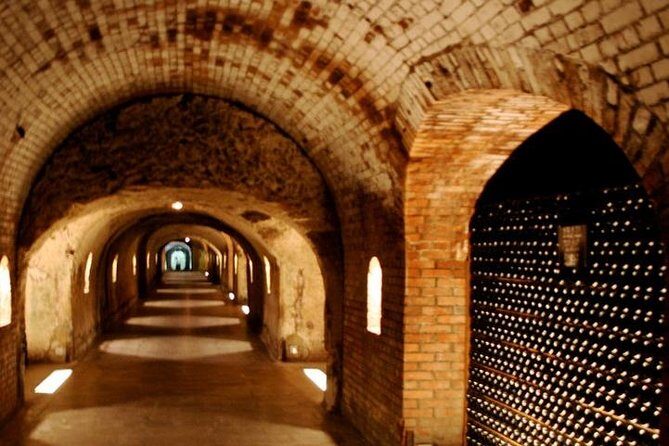 Champagne VIP Day Trip from Paris With Local PRIVATE Wine Expert Guide - A Closer Look at the Champagne VIP Day Trip