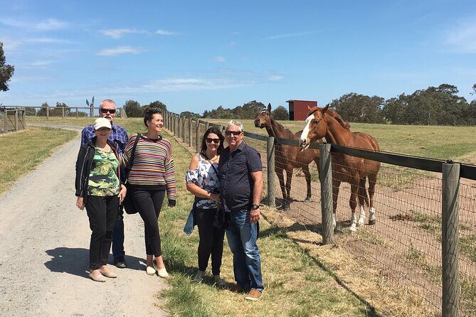 Champion Racehorse Tour with Beer and Wine Tasting - Frequently Asked Questions