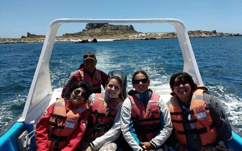 Chañaral de Aceituno Boat ticket - Why This Tour Offers Great Value