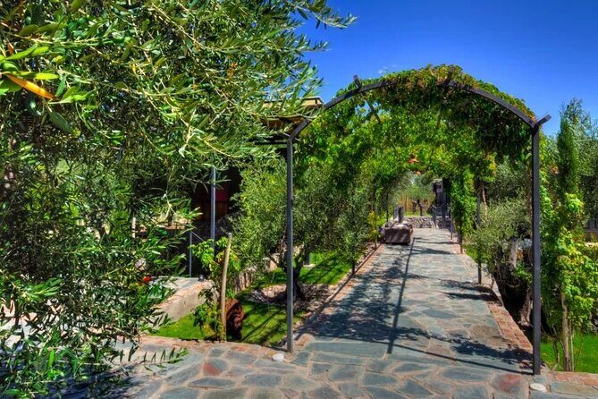 Chandon Winery + Enemigo Lunch (Michelin Guide). Transfer included - Final Thoughts