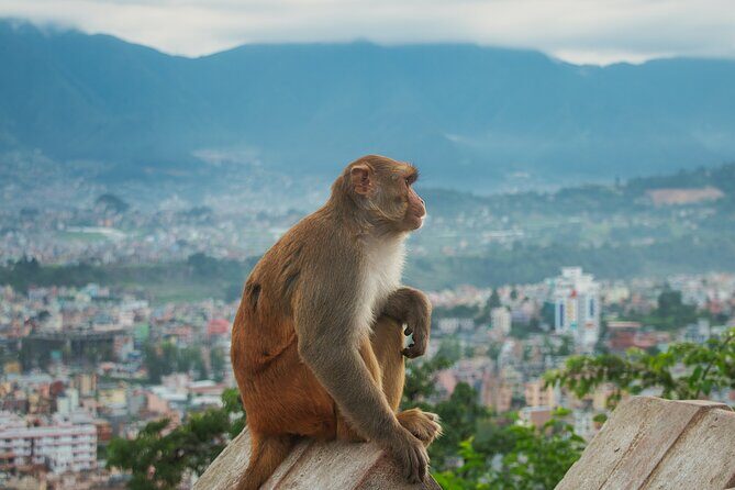 Chandragiri Cable Car Ride and Half Day Kathmandu Sightseeing - Kathmandu Durbar Square: A Glimpse into History