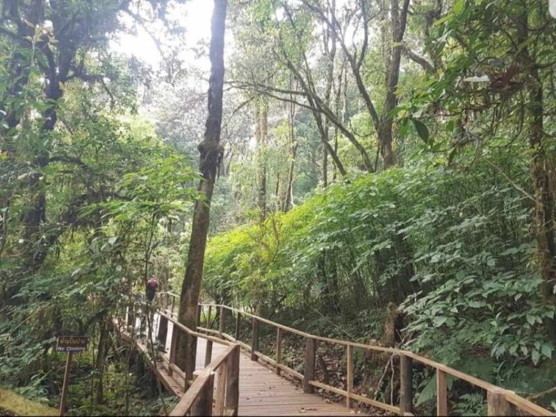 Chang Mai: Doi Inthanon Day Tour w/Waterfalls & Hilltribes - Experience the Majesty of Doi Inthanon on a Day Tour