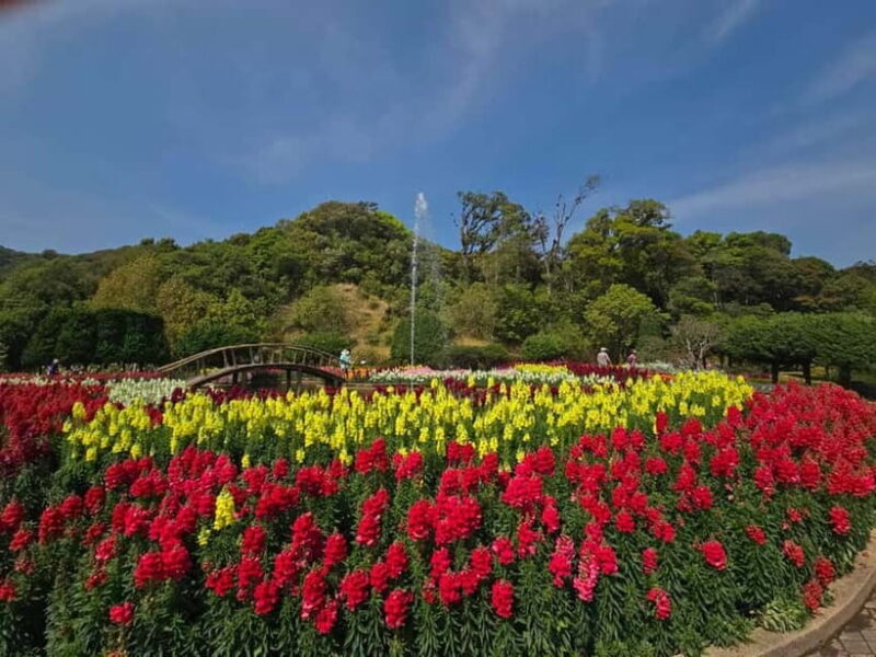 Chang Mai: Doi Inthanon Day Tour w/Waterfalls & Hilltribes - FAQ