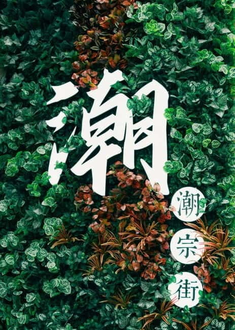 Changsha: Hunan Museum, Fan Painting Workshop & Night Market - Chaozong Street: Hidden Charms and Local Life