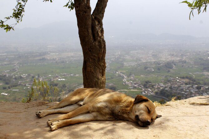 Changunarayan Hill to Telkot Hike Near Kathmandu Day Tour - What You Can Expect in Terms of Experience