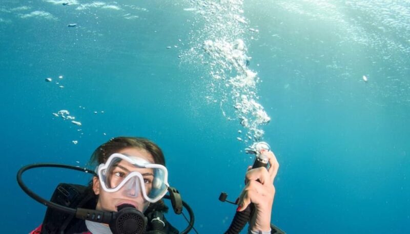 Chania: 2 Boat Dives for Certified Divers - Key Points