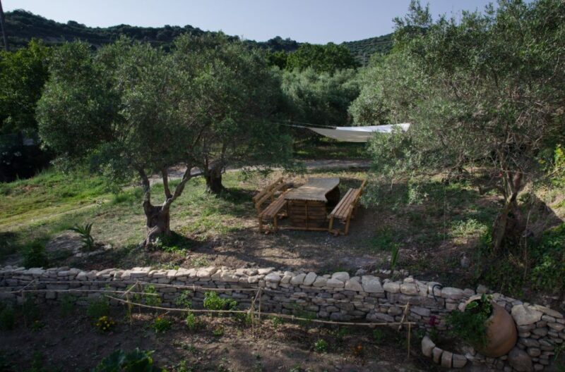 Chania: 5-Wine Tasting with Locals in Village near Kissamos - Final thoughts