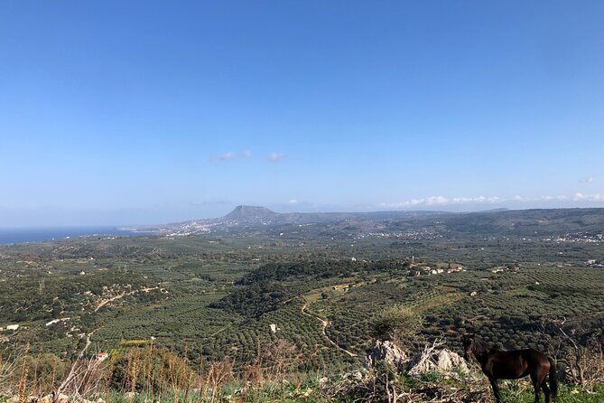 Chania Area: Cooking Class at a Farm in Stylos Village (organic) - A Detailed Look at the Experience