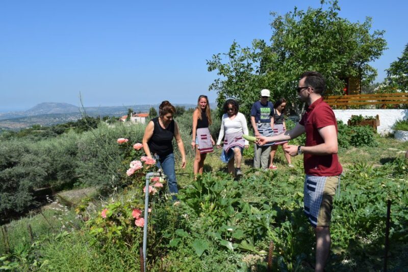 Chania: Authentic Cooking Class in the White Mountains - A Deep Dive into the Experience