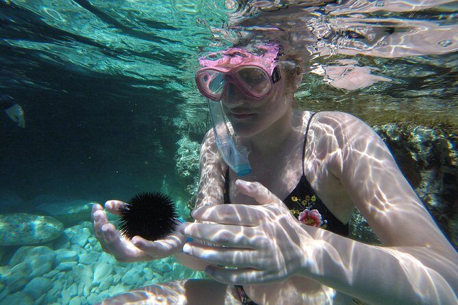 Chania: Boat Trip with Guided Snorkeling Tour & SUP - The Sum Up