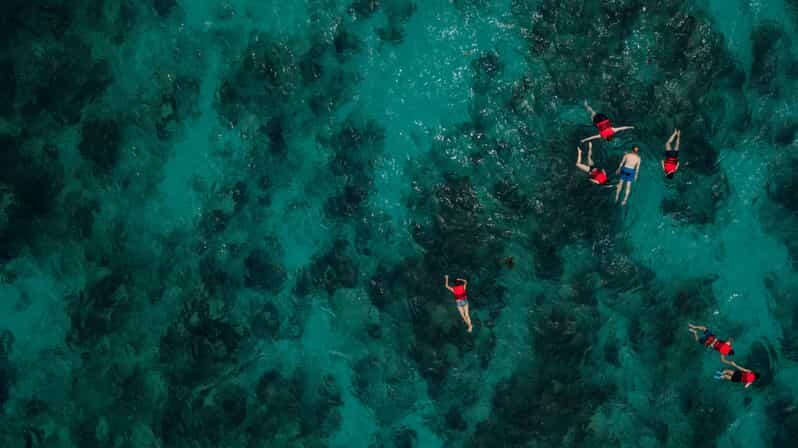 Chania: Boat Trip with Guided Snorkeling Tour - Chania: Boat Trip with Guided Snorkeling Tour