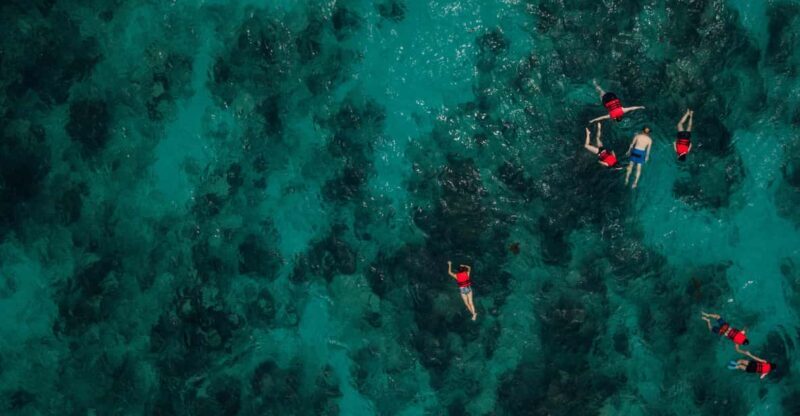 Chania: Boat Trip with Guided Snorkeling Tour - Key Points