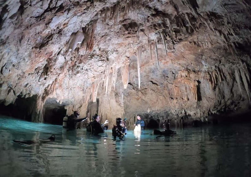 Chania: Diving Trips for Certified Divers - Chania: Diving Trips for Certified Divers