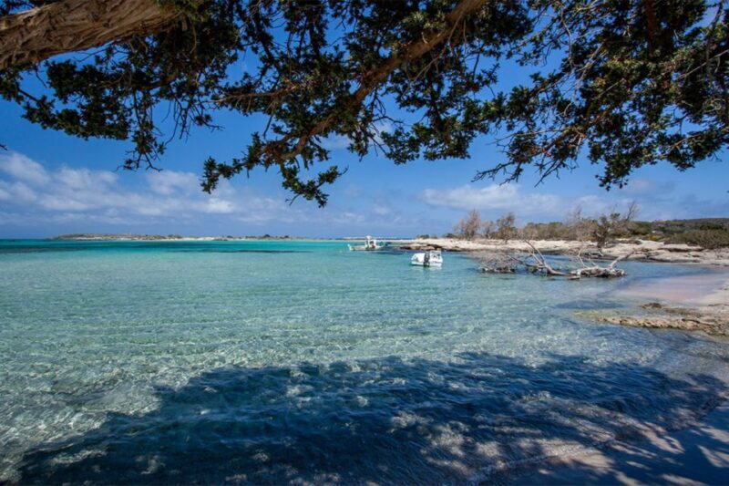 Chania: Elafonisi and Milia Mountain with Loungers and Lunch - Final Thoughts