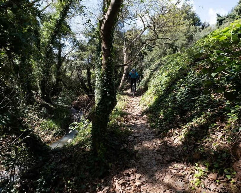 Chania: Electric Mountain Bike Tour - What Makes This Tour Special