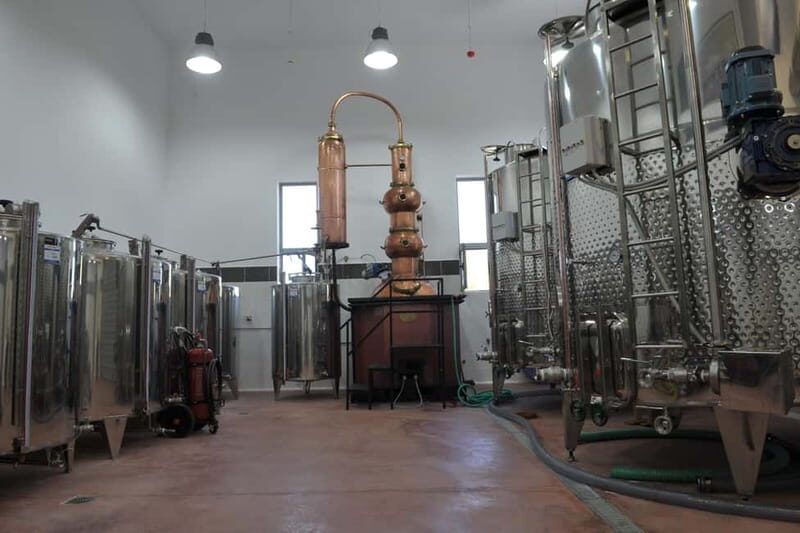Chania: Full-Day Vineyard & Winery Private Tour w/ Tastings - Final Thoughts