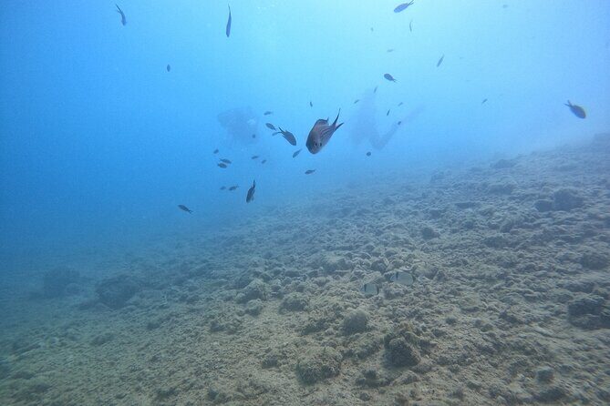 Chania Guided Snorkeling and Boat Excursion - Who Should Consider This Tour?