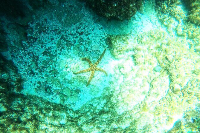 Chania Guided Snorkeling and Boat Excursion - Final Thoughts
