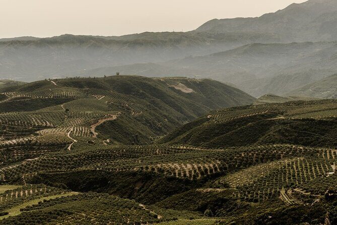 Chania Luxuries: Secrets of Wine and Olive Oil Tastings - Why Choose This Tour?