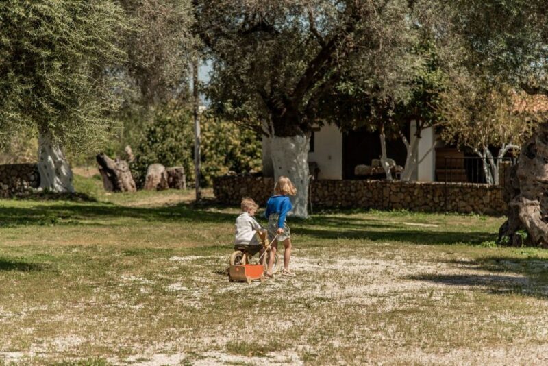 Chania Luxuries: Secrets of Wine and Olive Oil Tastings - Key Points