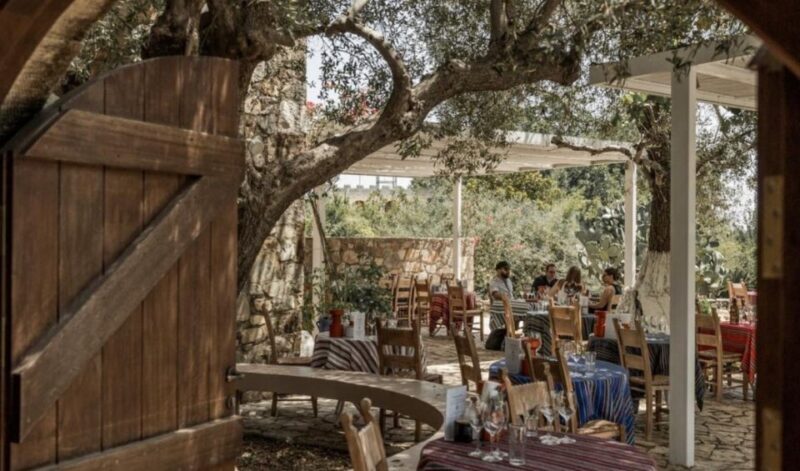 Chania Luxuries: Secrets of Wine and Olive Oil Tastings - Exploring Crete’s Hidden Gems in Comfort
