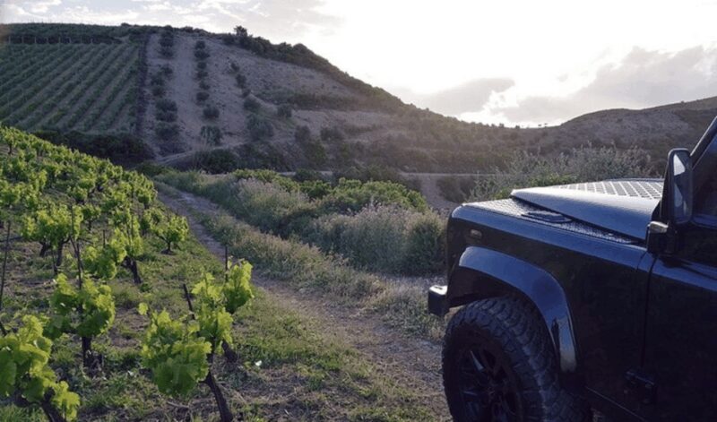 Chania Luxuries: Secrets of Wine and Olive Oil Tastings - Authenticity and Personal Touches