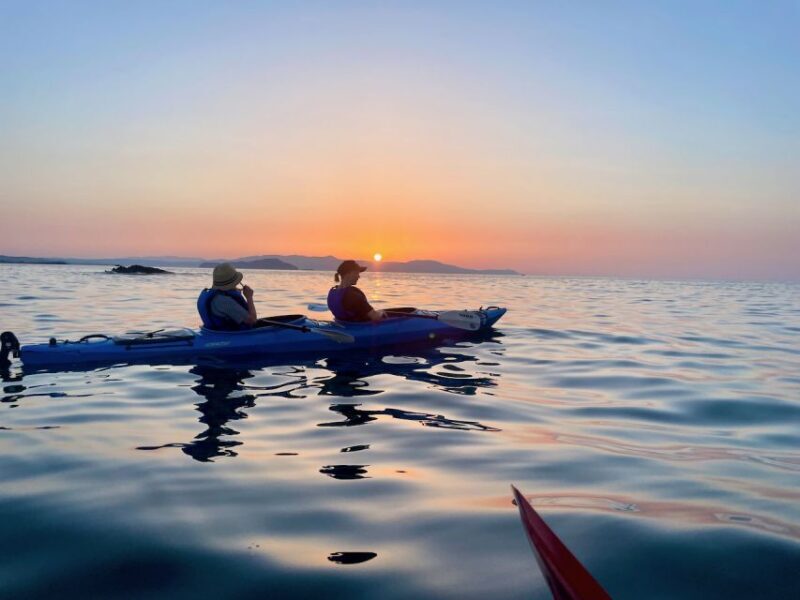Chania: Morning Sea Kayak Tour Along the Coastline - Final Thoughts