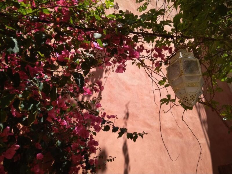 Chania Old Town: Artisans & Sightseeing Walking Tour - A Deep Dive into the Chania Old Town: Artisans & Sightseeing Walking Tour